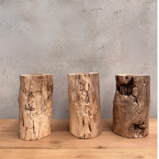 Elm Root Vase | Rustic