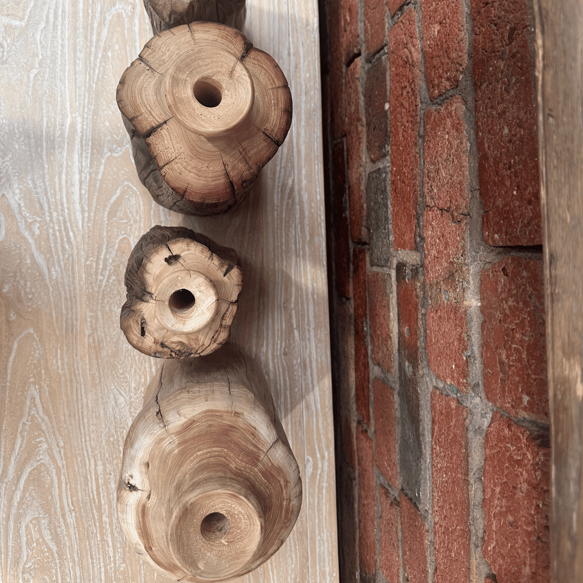 Dry Root Vase | Rustic