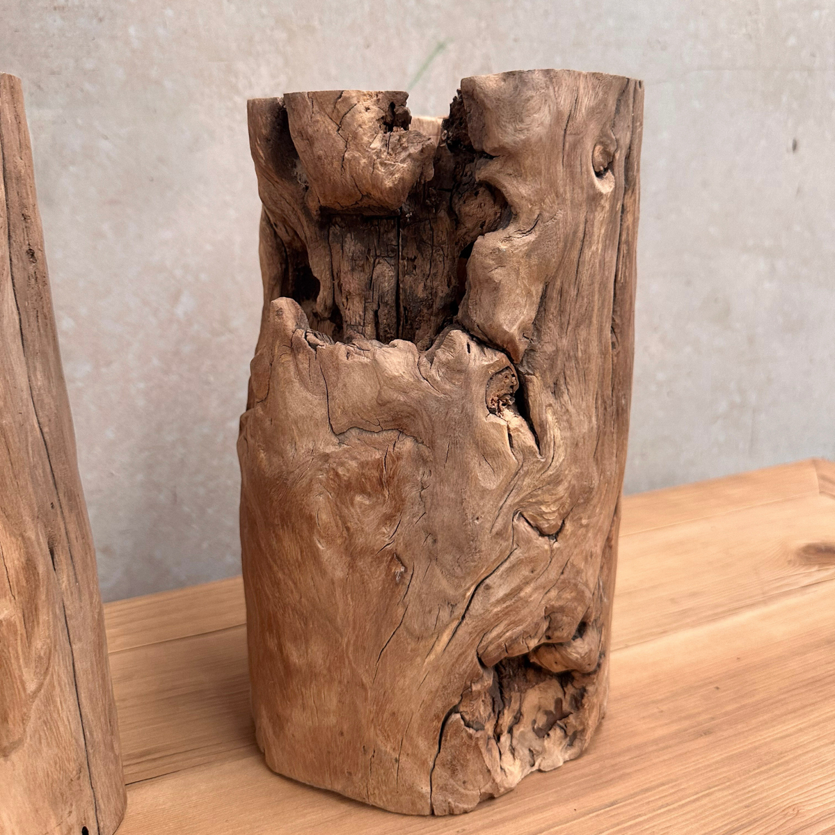 Elm Root Vase | Rustic