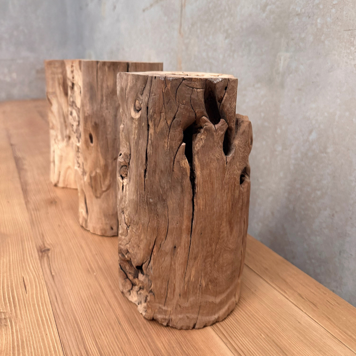 Elm Root Vase | Rustic