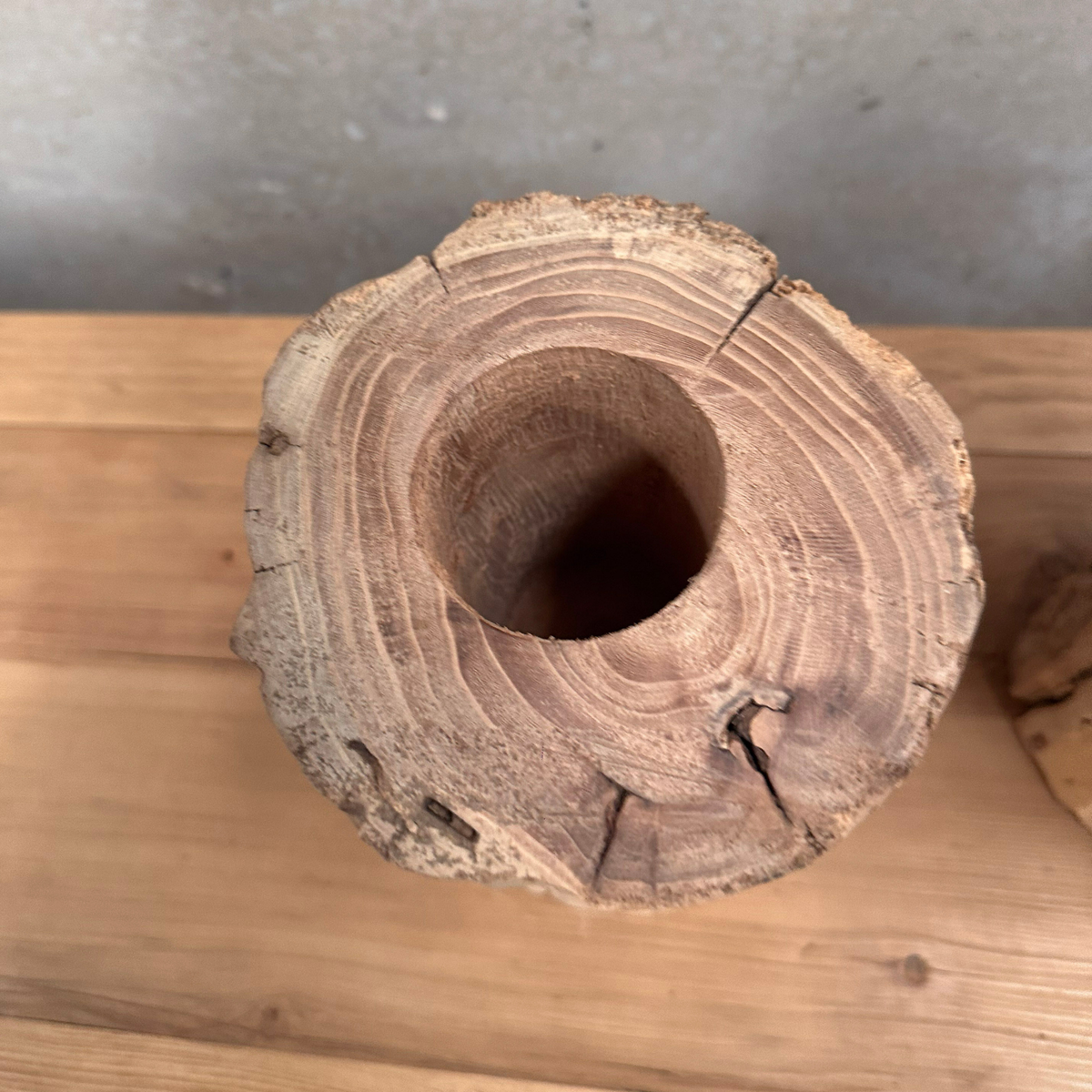 Elm Root Vase | Rustic