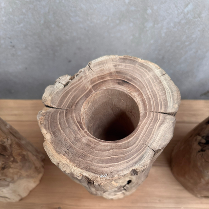 Elm Root Vase | Rustic