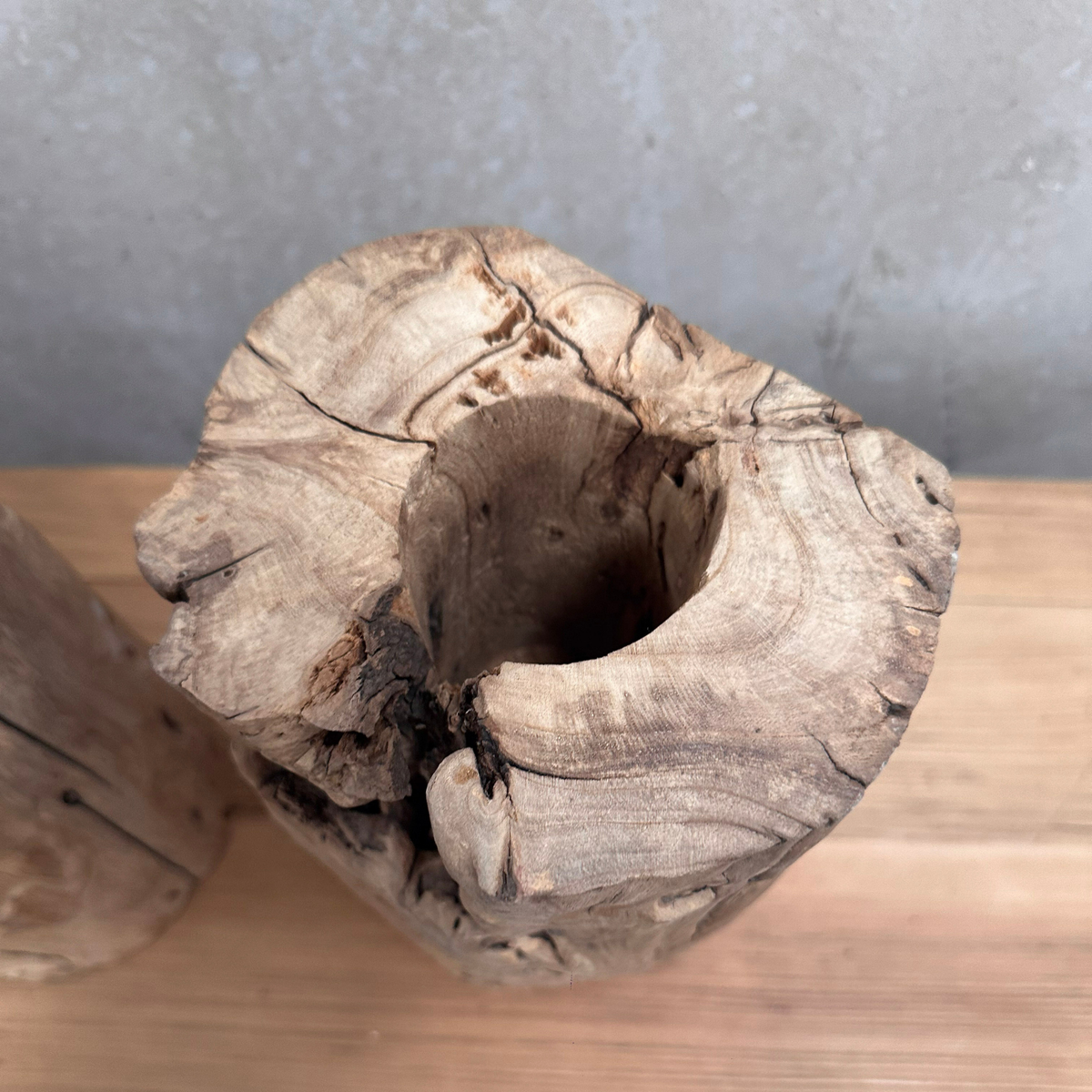 Elm Root Vase | Rustic