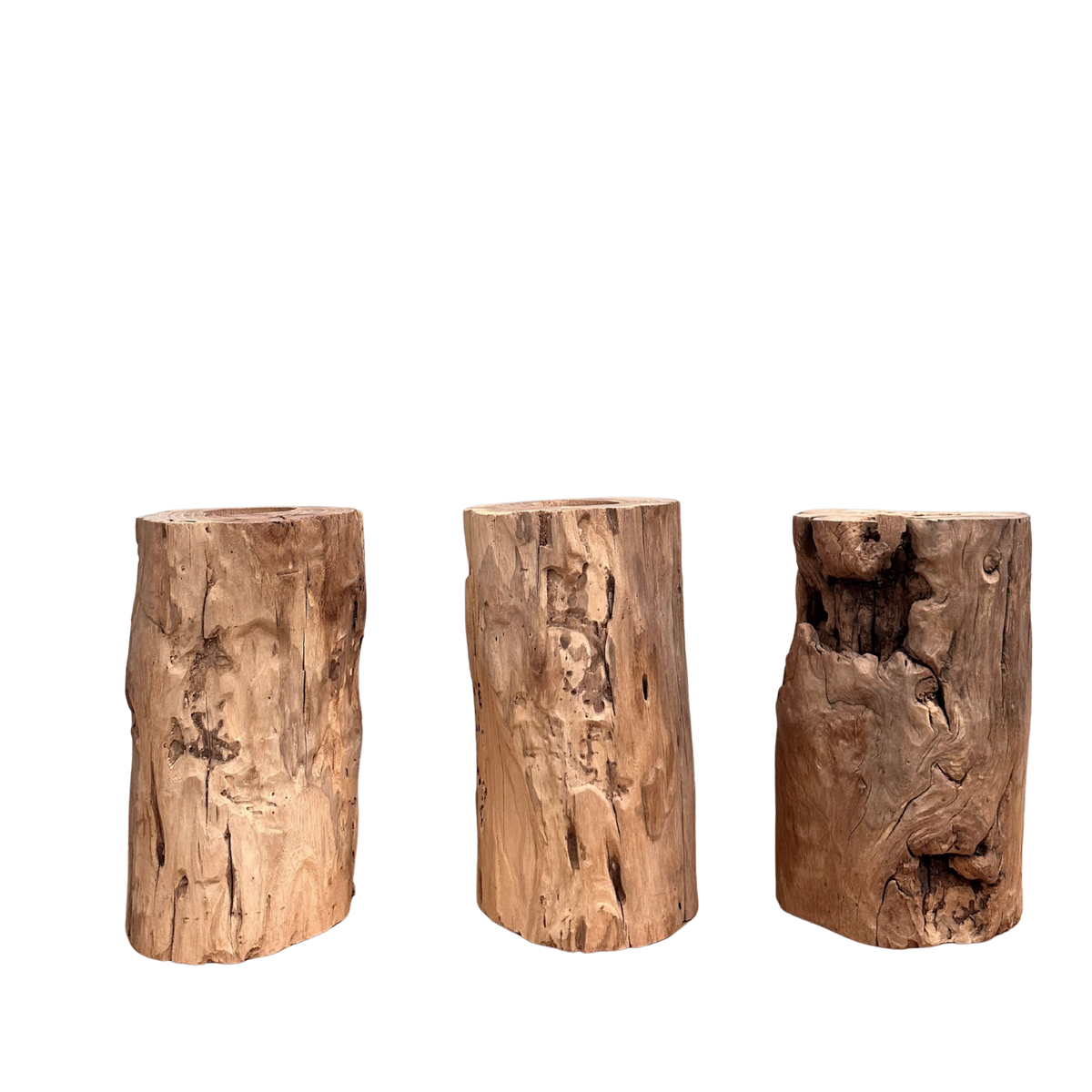 Elm Root Vase | Rustic
