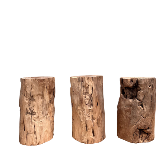 Elm Root Vase | Rustic