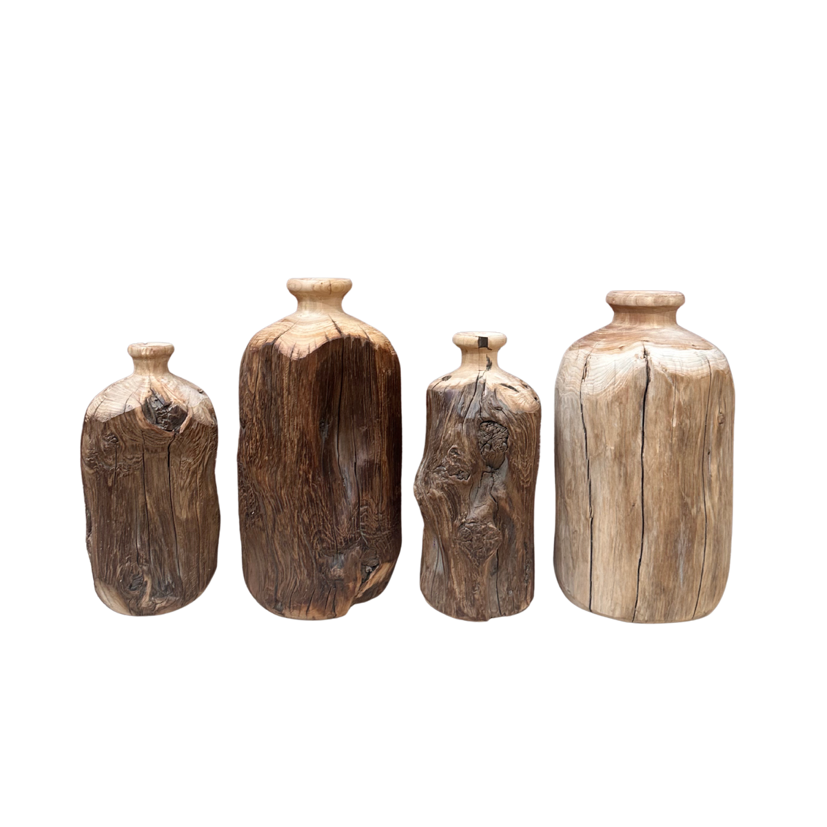 Dry Root Vase | Rustic