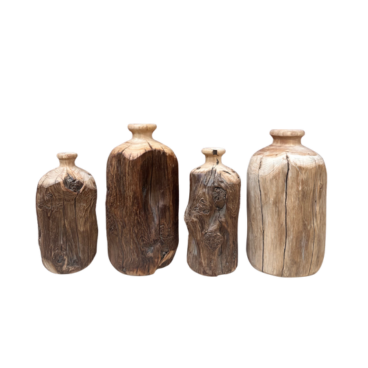 Dry Root Vase | Rustic